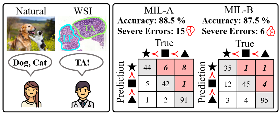 CVPR 2026